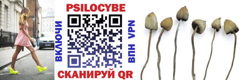 Псилоцибиновые грибы Psilocybine cubensis  Купить где  Теберда 